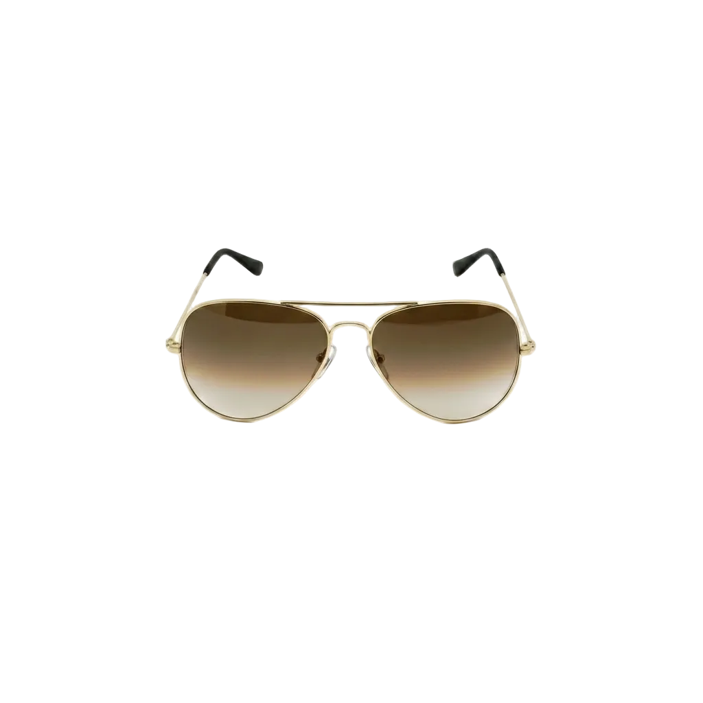 Alte Aviator Sunglass in Gradient Shade.