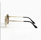 Alte Sunglass in Brown Shade